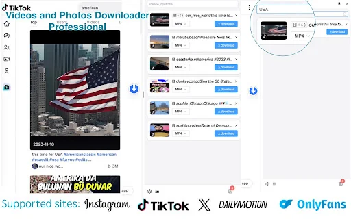 DataTool Video Downloader: I-download ang TikTok Videos nang HD - Screenshot 3