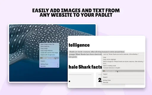 I-download ang Padlet Mini: Mabilis na Pag-bookmark ng Content - Screenshot 3